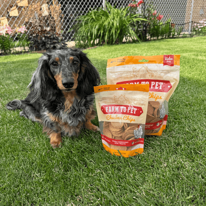 Farm To Pet chicken chips for dogs, all-natural single-ingredient dog treats, with a dog sitting beside the 4oz and 12oz packages.