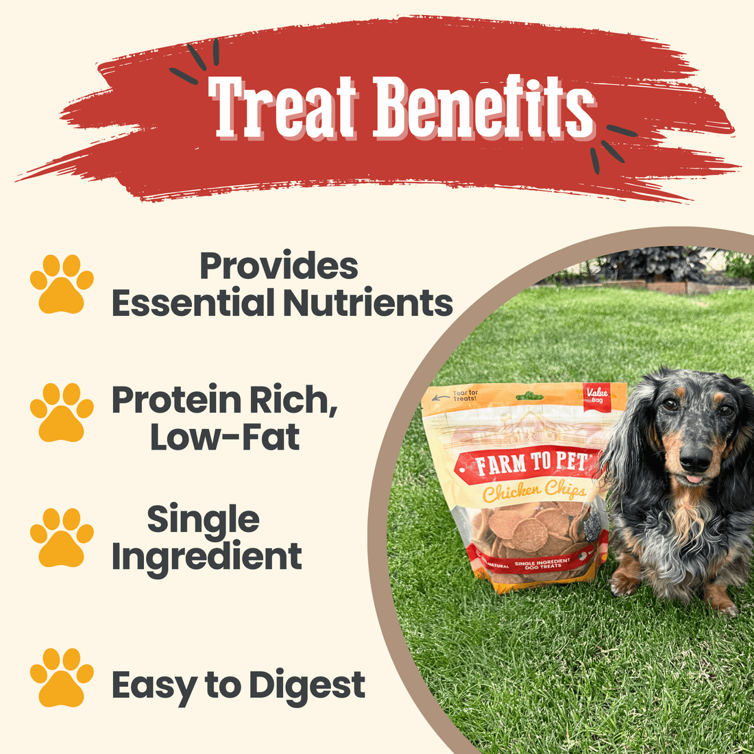 All-natural chicken chips for dogs by Farm To Pet, 4oz single-ingredient dog treat, crispy chicken snack for pets.