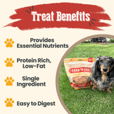 All-natural chicken chips for dogs by Farm To Pet, 4oz single-ingredient dog treat, crispy chicken snack for pets.