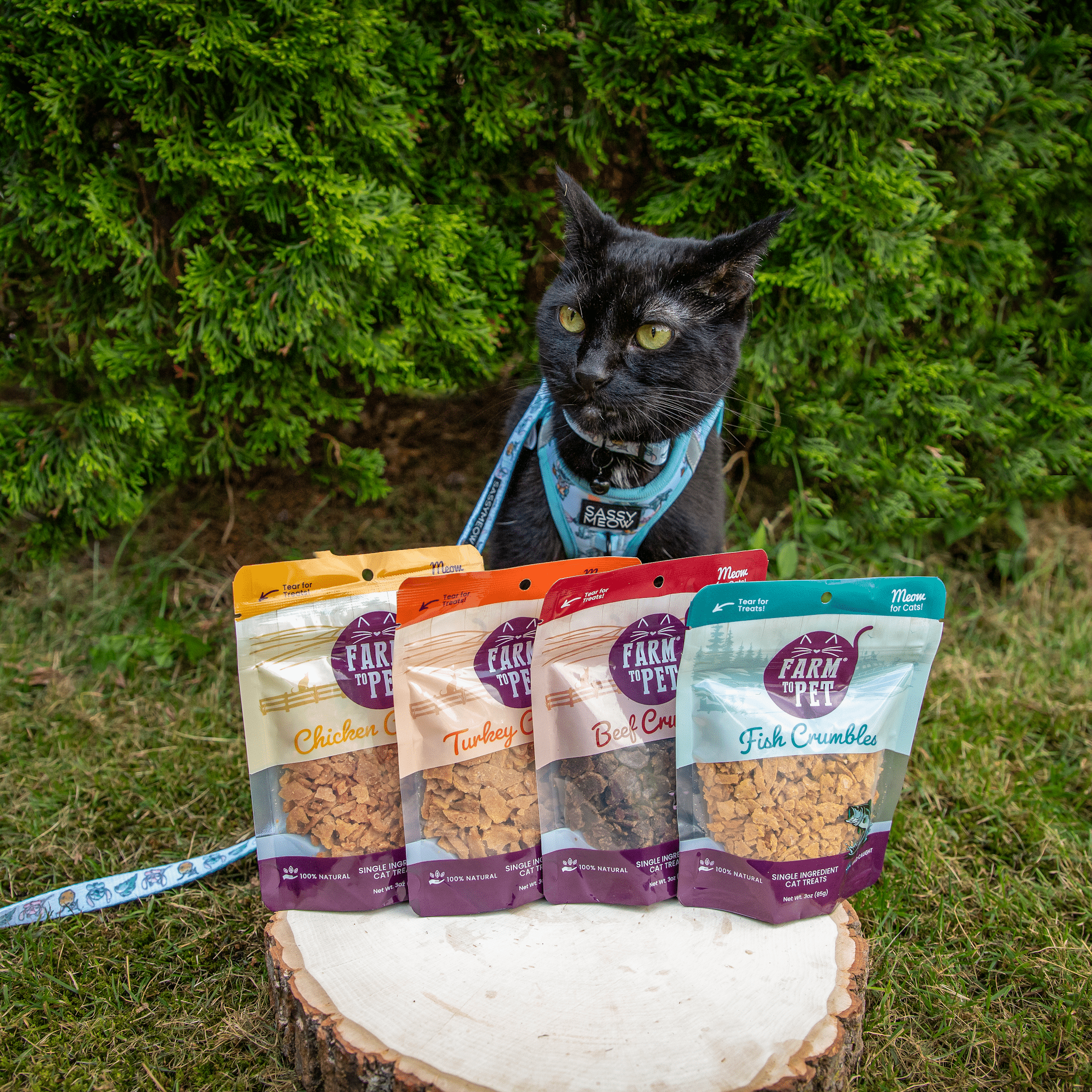 Farm To Pet fish crumbles for cats, all-natural fish cat treats in a crumbled form, with a cat looking at the front of the bag.