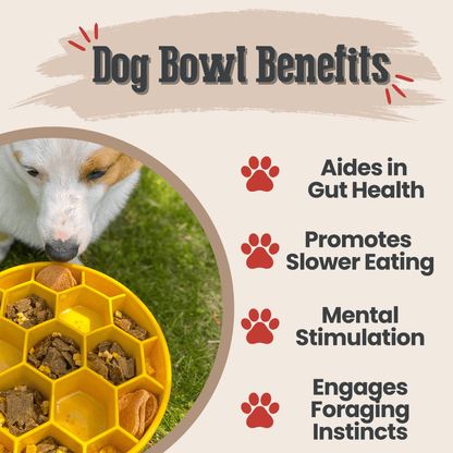 Yellow Farm To Pet slow feeder dog bowl with honeycomb design to promote slower eating and improve digestion.