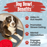 Farm To Pet slow feeder dog bowl with holiday-themed Santa design, promotes healthy eating for dogs.