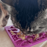 Maroon Farm To Pet lick mat with fishbone design for cats and small dogs, providing engaging pet enrichment.