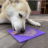 Large purple Farm To Pet dog lick mat with a bone shape, designed for dogs to lick and chew comfortably.
