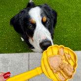 Farm To Pet Lick Stick, an interactive dog training toy in yellow with beehive design for stimulating licking and mental engagement.