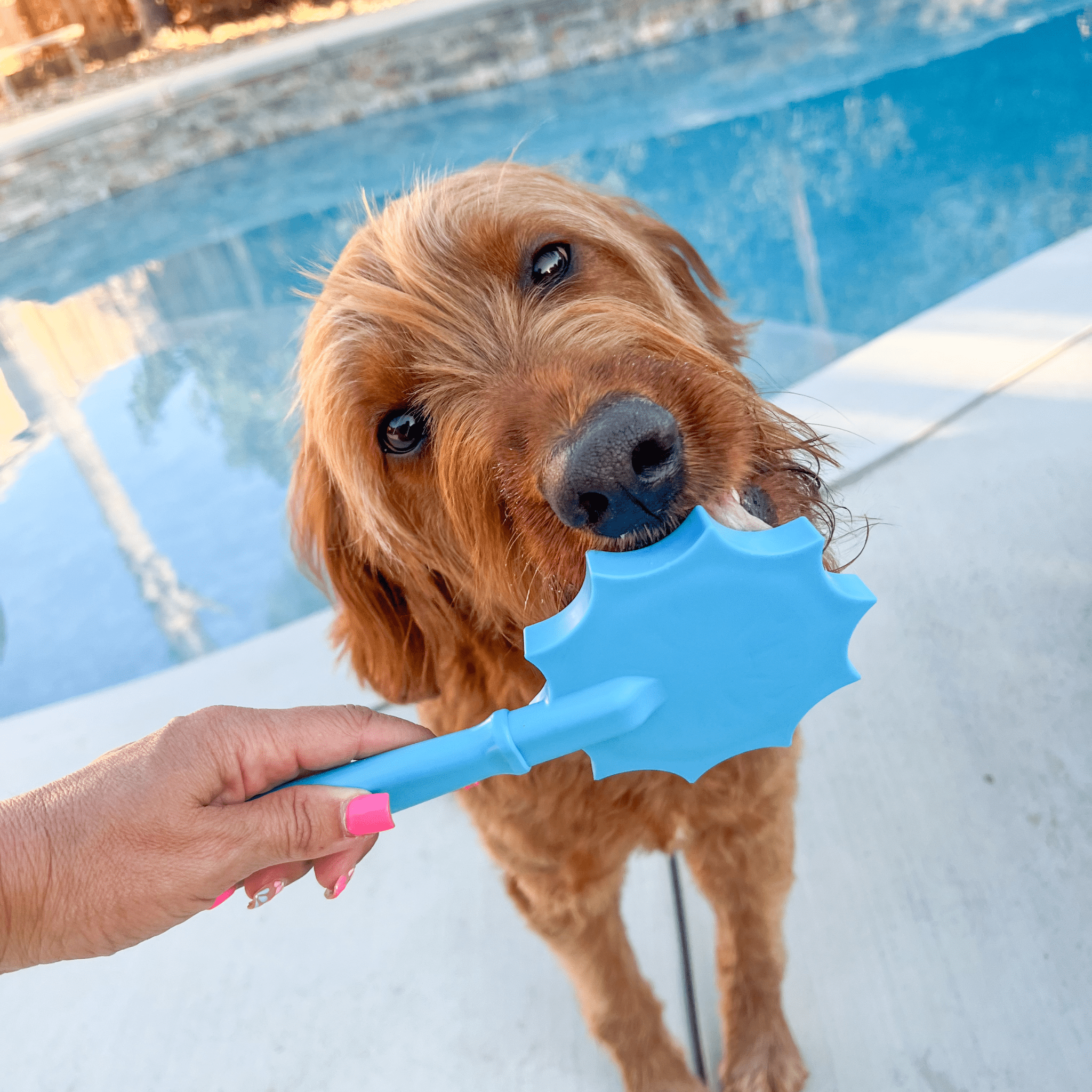 Blue Farm To Pet Lick Stick, an interactive dog training toy, featuring a flower design for dog licking and enrichment.
