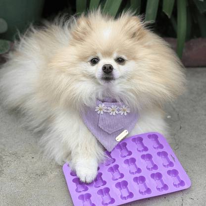 Farm To Pet pet treat molds in various shapes for homemade dog or cat treats, made of durable silicone or plastic.