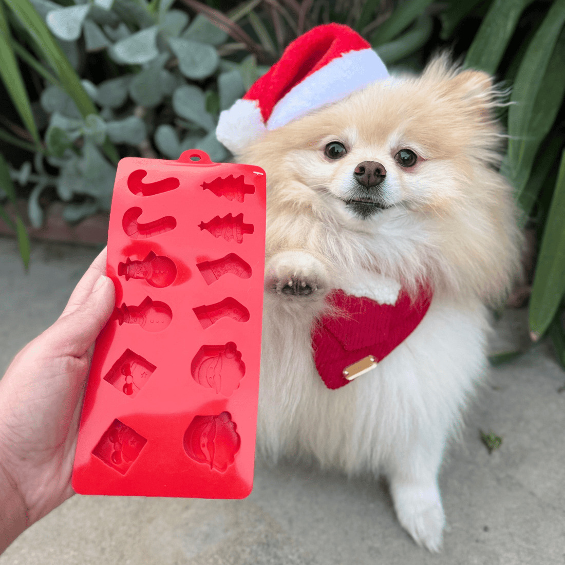 Red Farm To Pet holiday dog treat mold with holiday-themed shapes for DIY dog treats.