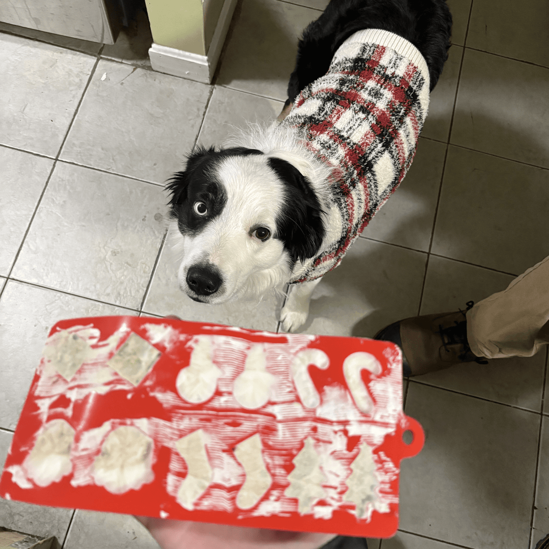 Farm To Pet pet treat molds in various shapes, durable silicone mold for making homemade dog treats.