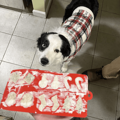 Farm To Pet pet treat molds in various shapes, durable silicone mold for making homemade dog treats.