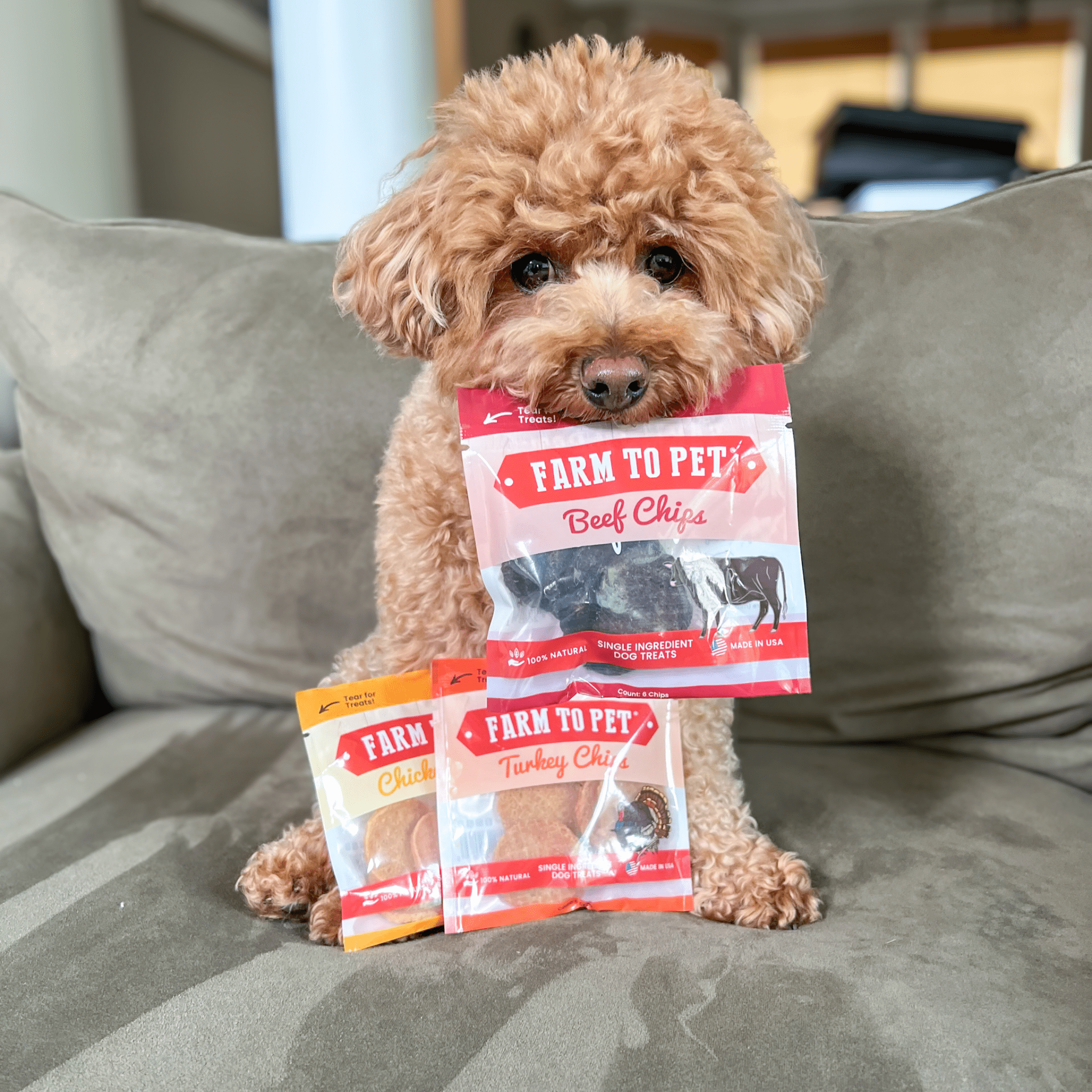 Farm To Pet snack pack dog treat sampler with single-ingredient treats for small dogs, showcasing natural, healthy dog snacks.