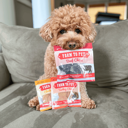 Farm To Pet snack pack dog treat sampler with single-ingredient treats for small dogs, showcasing natural, healthy dog snacks.