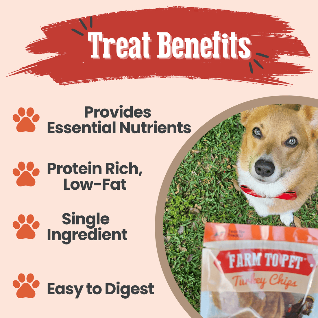 Farm To Pet turkey chips snack pack with heart-healthy, low allergen treats for training and snacking.