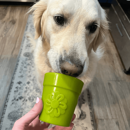 Green flower pot-shaped Farm To Pet dog treat dispenser with a dog licking it, designed to hold and dispense treats for pets.