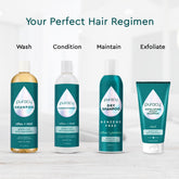 Puracy dry shampoo with benzene and silicone-free formula, shown in a spray bottle, designed for color-safe hair refreshment.