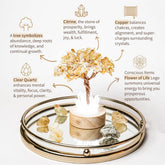 Golden Lamp of Wealth night light featuring a Citrine Tree design by Conscious Items, with a warm glowing golden base.