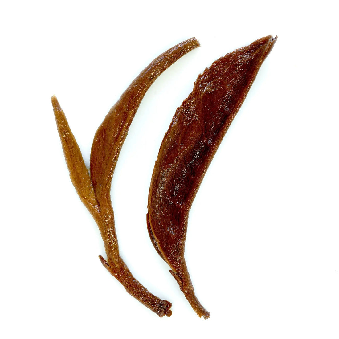 Single estate Nepalese black tea from Rare Leaves Gold by August Uncommon Tea, showing dark loose leaf black tea in a natural setting.