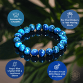 Royal blue tiger’s eye bracelet from Hawk’s Focus by Conscious Items, featuring polished stone beads on an elastic band.