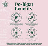 Healthova Debloat Support Capsules from AiRi Vital Source Nutrition, showing the supplement bottle with label details.