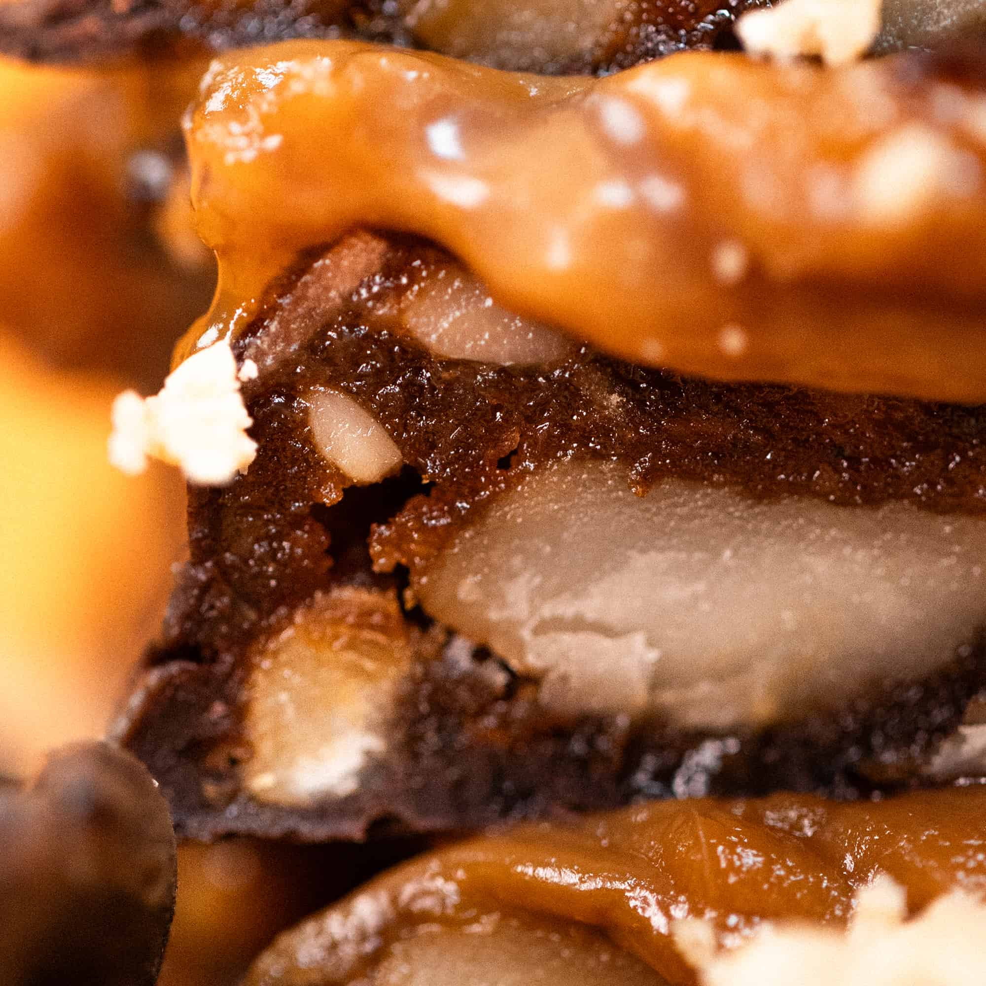 Caramel Mocha Macadamia Nut Snack Bar (Dan Mace&
