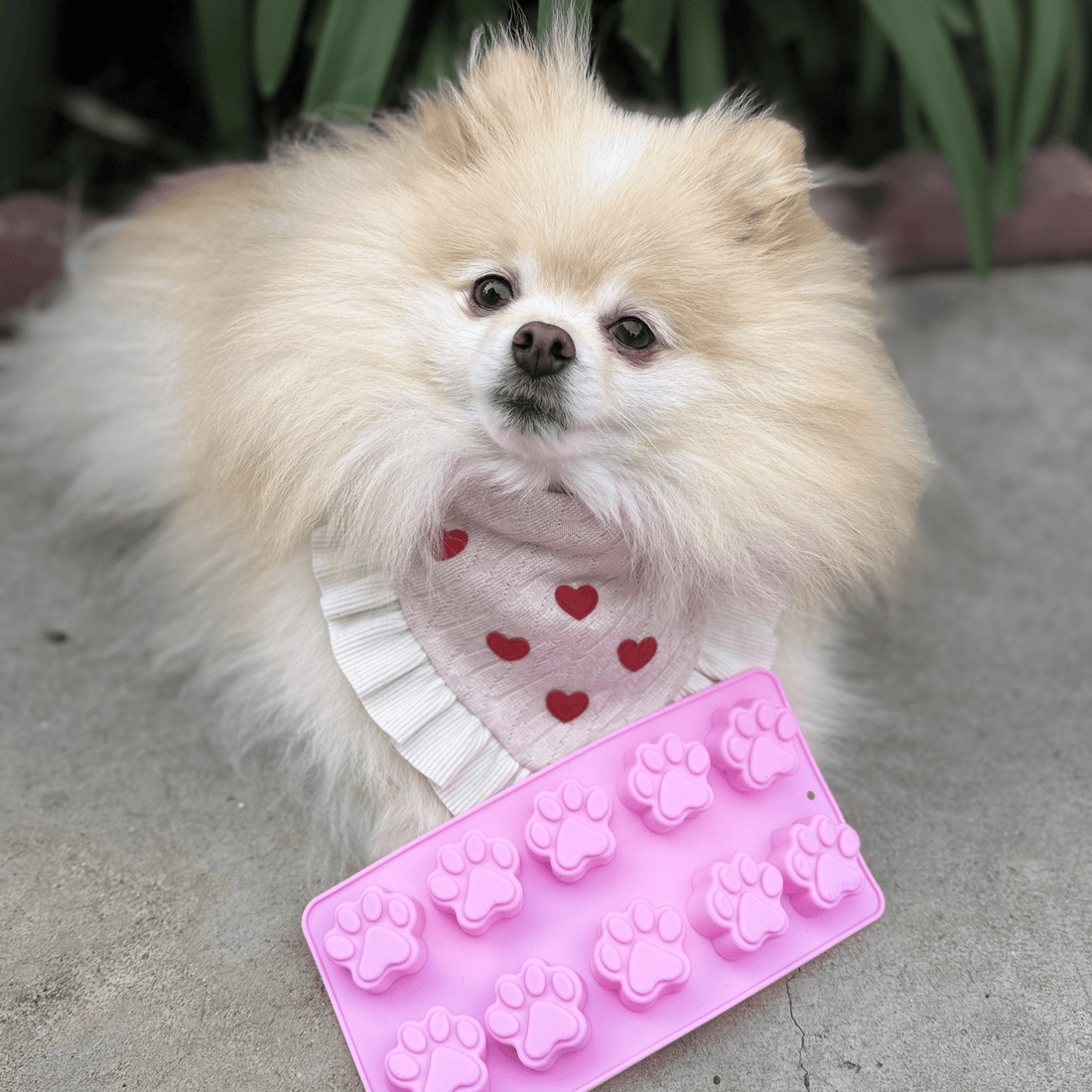 Farm To Pet pet treat molds in various shapes, durable silicone mold for making homemade pet treats.