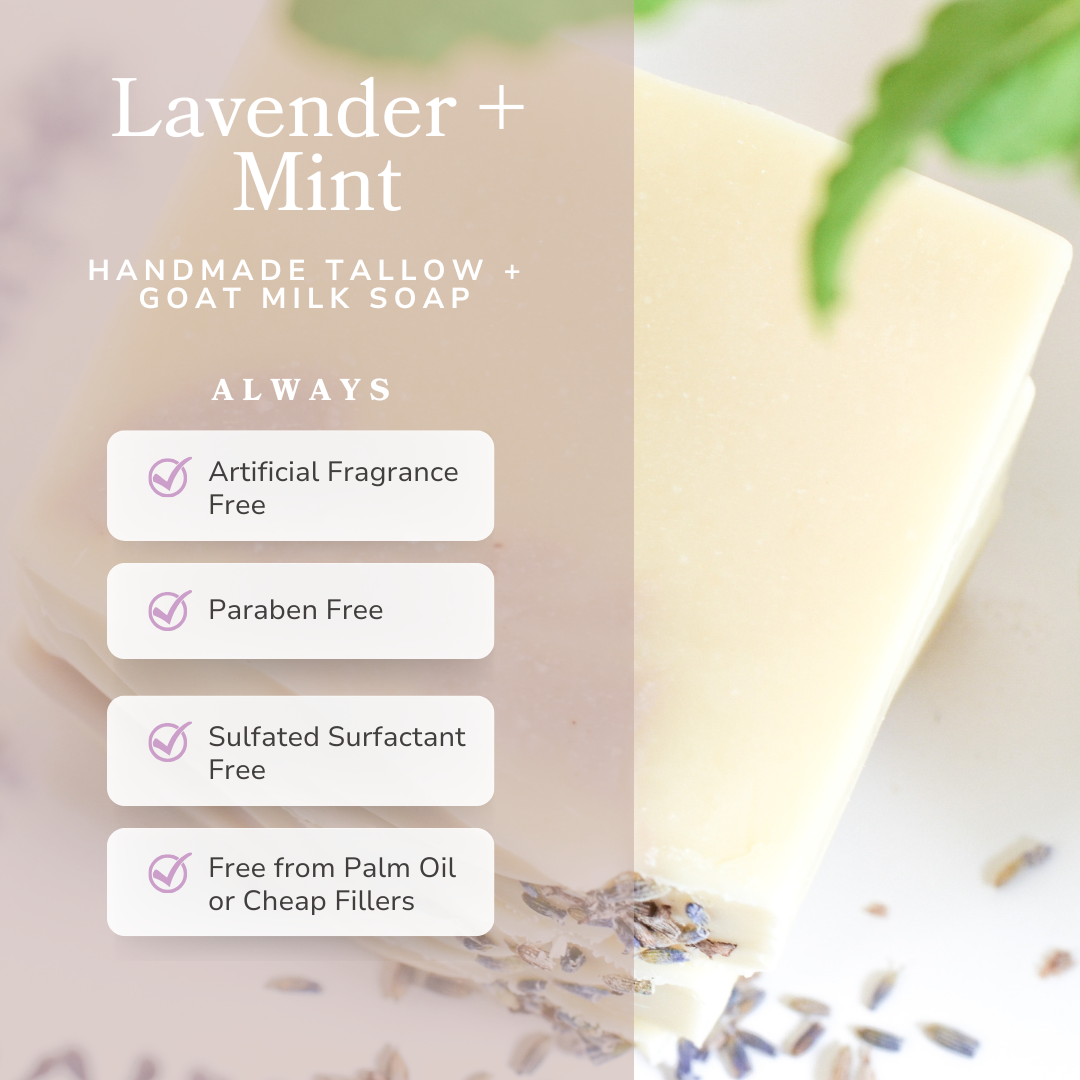 Lavender and mint handmade tallow and goat milk soap bar by Pretty Farm Girl, showing a natural soap with lavender and mint accents.