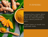 Glass jar of Spice Wheel turmeric powder with a bright yellow-orange spice inside, labeled and sealed for freshness.