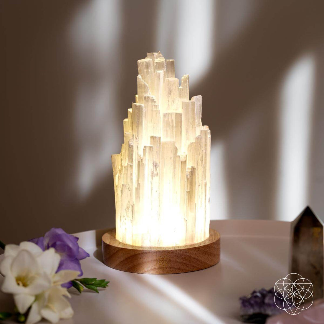 Selenite night light lamp from Conscious Items, 2 pounds, with a smooth, translucent white crystal surface for healing and ambient lighting.