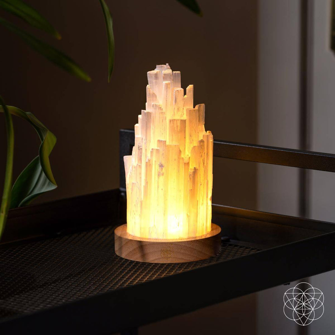 Selenite lamp by Conscious Items, 2 pounds, as a healing night light with a smooth, natural white crystalline appearance.