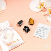 Three decorative home protection ornaments from the Triple Protection Trio by Conscious Items arranged on a shelf.