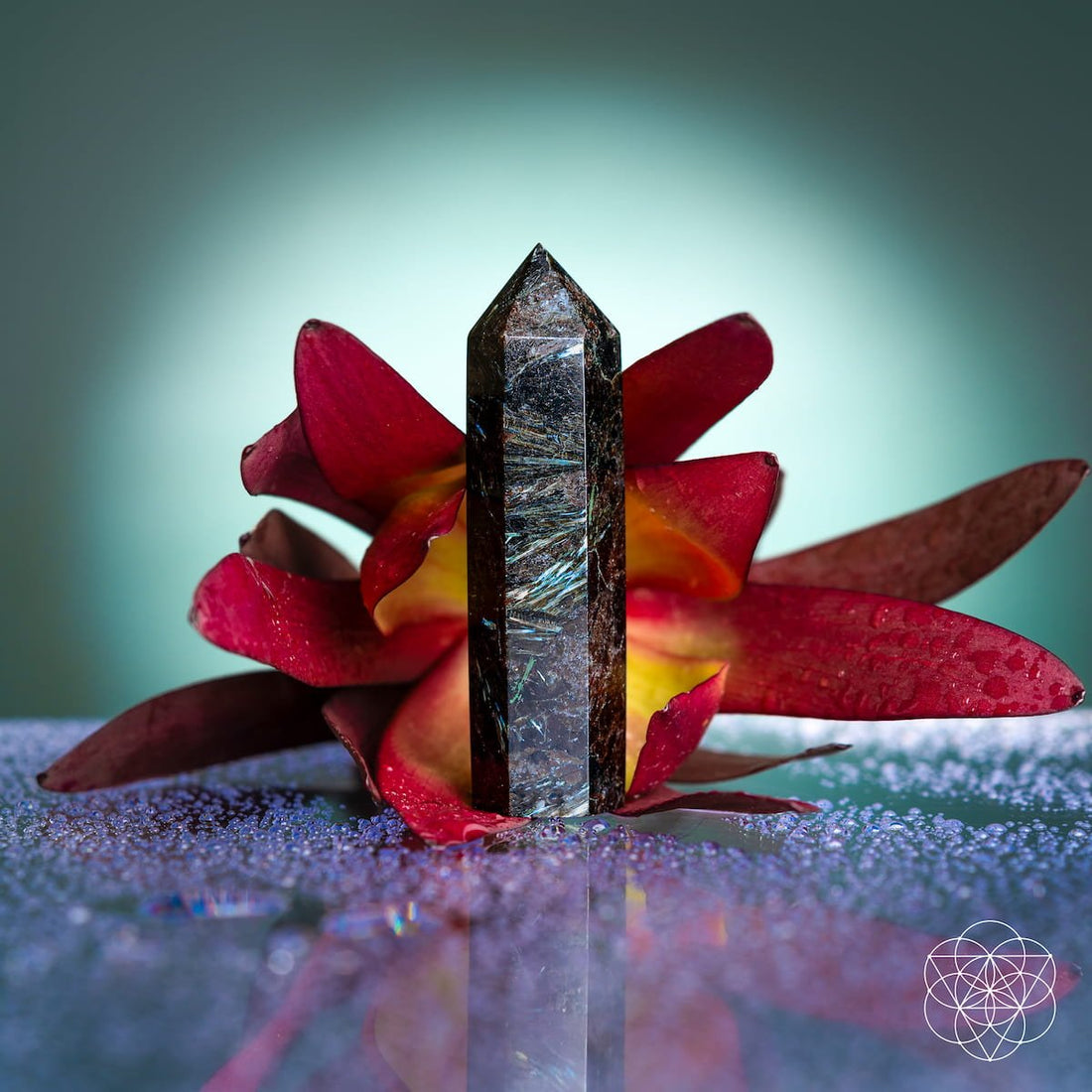 Rare Arfvedsonite point home decoration by Conscious Items, showcasing a deep blue mineral crystal on a sleek black base.
