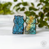 Labradorite owl crystal heart talisman from Conscious Items, featuring a polished gemstone with iridescent blue and green hues.