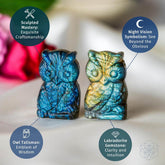 Labradorite Owl Talisman crystal heart by Conscious Items, featuring a polished labradorite stone with an owl design.
