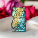 Labradorite owl-shaped crystal heart talisman from Conscious Items, symbolizing wisdom and intuition.