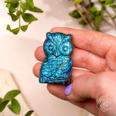 Labradorite Owl Talisman crystal heart pendant by Conscious Items, featuring a polished labradorite owl-shaped charm with iridescent stone.