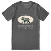 Yūjin Clothing Cat Is Cat T-Shirt featuring a playful cat graphic on a casual cotton t-shirt for cat lovers.